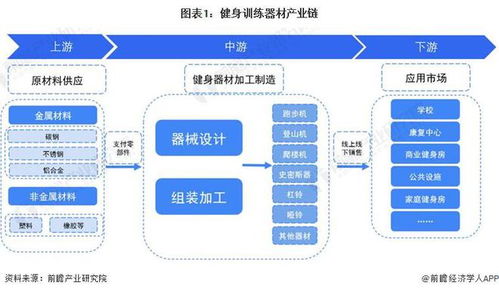 2024年健身训练器材行业产业链全景梳理及区域热力地图